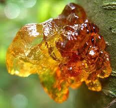 رزین چیست و چه کاربردی دارد ؟